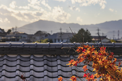 从横滨郊区的小山上看到的城市景观和山脉