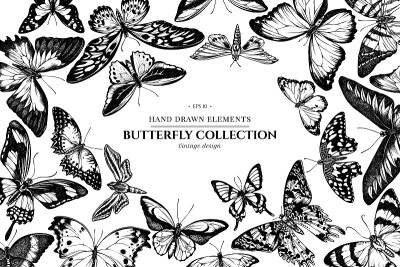 Design with black and white great orange-tip, emer