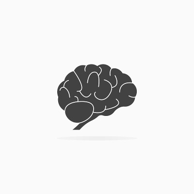 人类大脑图标。阴影和白色背景矢量隔离