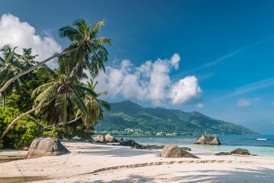 热带海滩塞舌尔，白色沙滩上的棕榈树在塞舌尔Praslin