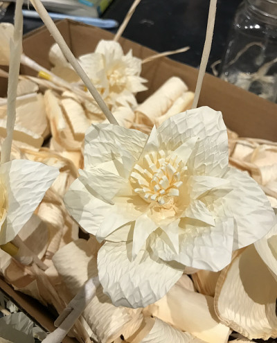 殡葬木花志愿工坊。