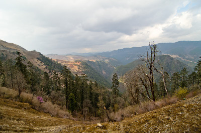 广角的山地景观