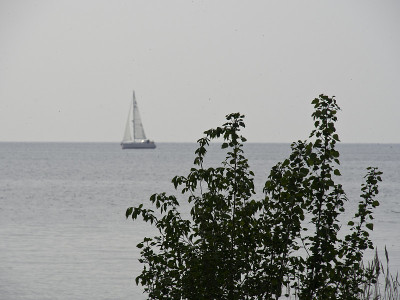 urk
