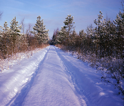 被雪覆盖的道路
