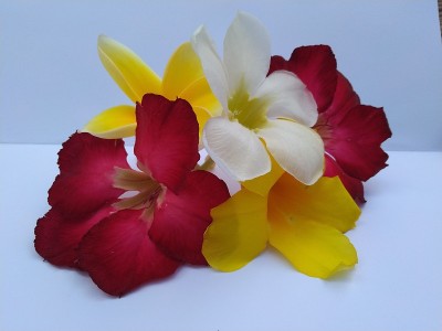 群花
