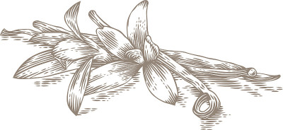 香草枝和花