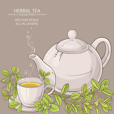 一杯马郁兰茶和茶壶