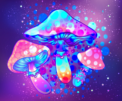 神奇的蘑菇。迷幻幻觉。