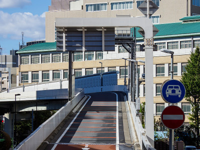 在日本结