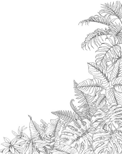热带植物角落背景