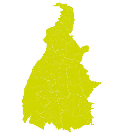 托坎廷斯州-市政边界