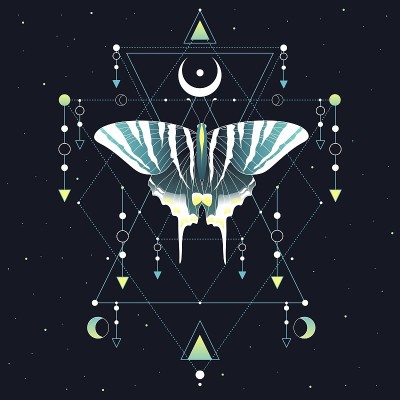 美丽可爱的蝴蝶矢量插图。