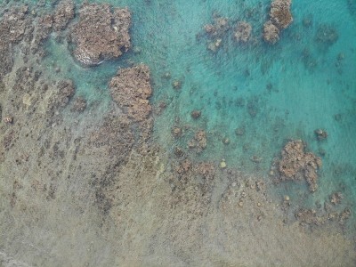 斐济水