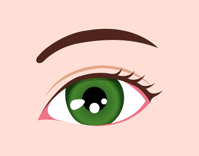 人眼球/眼睛颜色插图(绿色)
