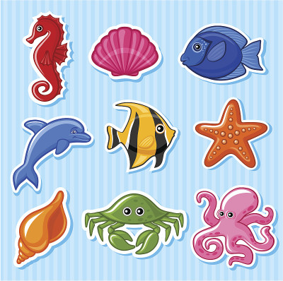 海洋动物