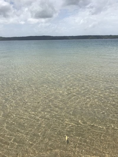 蛇湾
