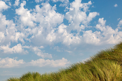 Marram Grass and Sky