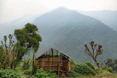 尼泊尔的谷仓和雾山