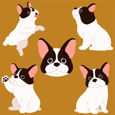 一套平坦的彩色法国斗牛犬插图