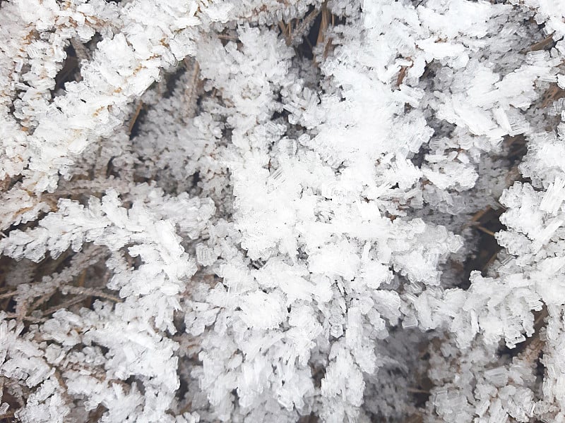 干草上的冰晶。自然界的霜冻图案在冬季来自霜雪。背景，文本空间。