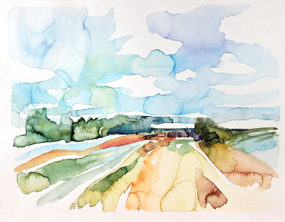 景观(2008年)。