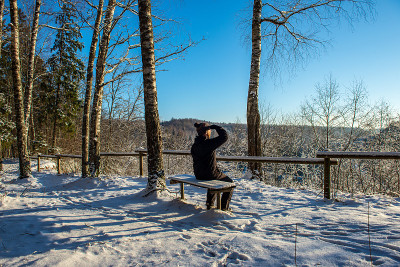 太阳在大雪覆盖的森林中升起