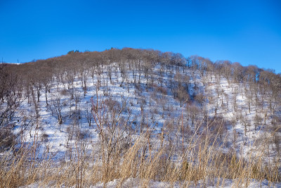 冬天的风景