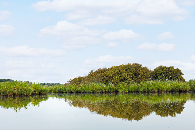 法国夏日Briere Marsh的风景