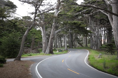 风景优美的道路17英里沿着太平洋格罗夫和卵石滩，加州
