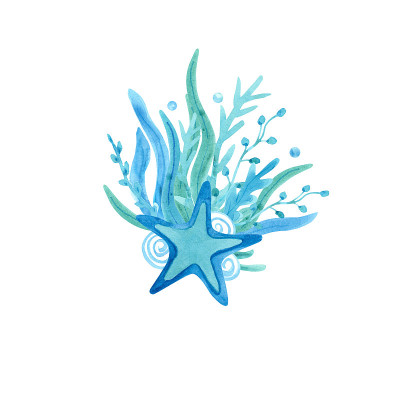 水彩组成与海星和海草在白色