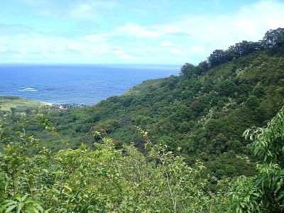 夏威夷毛伊岛海岸线