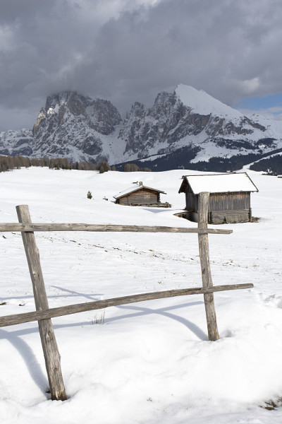 在阿尔卑斯山脉(Alpe di Siusi)，欧洲最大的高山牧场，白云石的全景。意大利南泰洛的特伦蒂