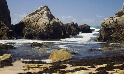 野生海岸，基伯隆，法国