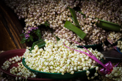 茉莉花崇拜