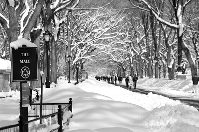 暴风雪过后，中央公园的购物中心被大雪覆盖