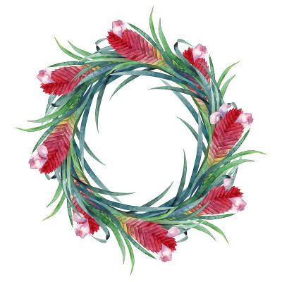 水彩tillandsia cyanea花环