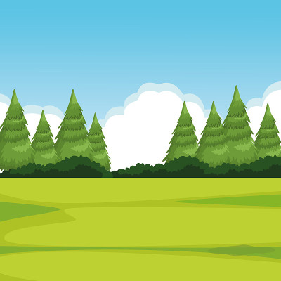 forest landscape with pine vector illustration