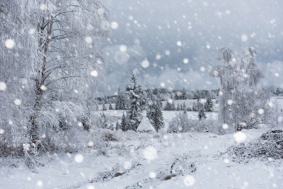 树被雪覆盖，山上下着大雪