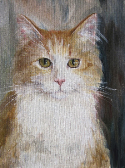 猫的肖像油画