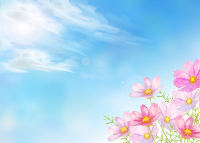 宇宙花在天空中