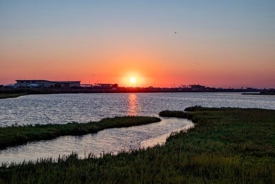 日落在水和沼泽