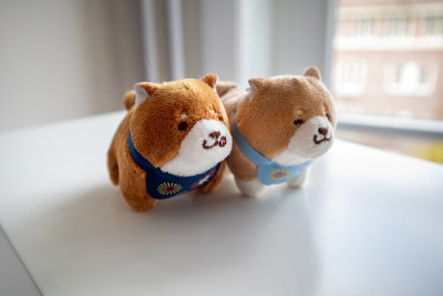 小玩具狗