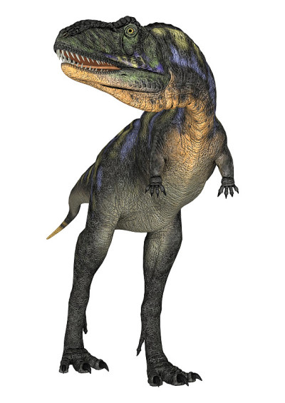 3D渲染恐龙Aucasaurus在白色