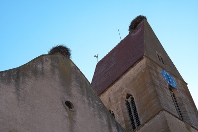 教堂Eguisheim