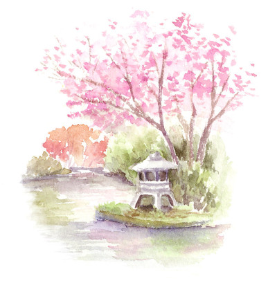 日本花园樱桃树和灯笼的水彩画插图。
