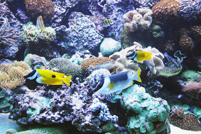水族馆