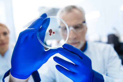 坚定的科学家正在进行血液分析