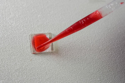 移液管中的红色液体。毛细现象。