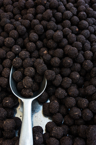 背景是彩色的糖果和糖果。科罗拉多州分类