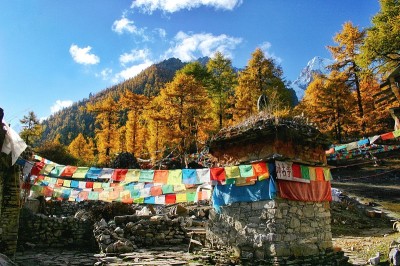 美丽的山景